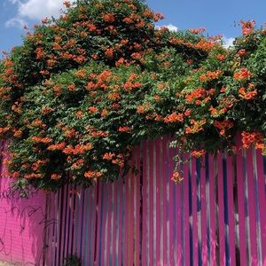 Meet your Posher, Haiying